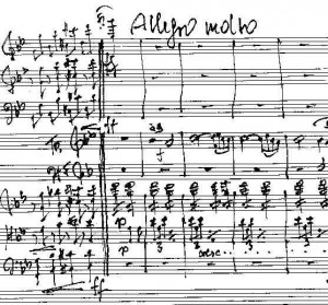 Rieder Symph 5